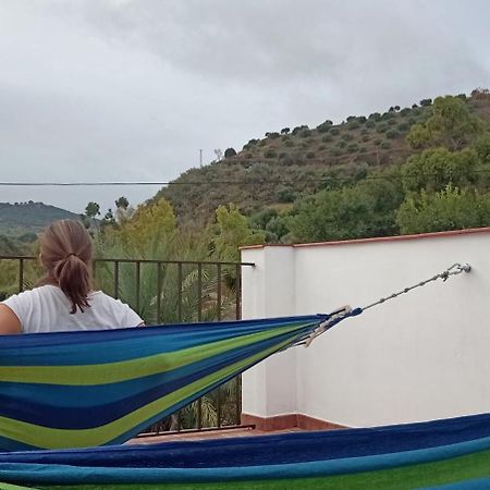 Apartamento Casa Con Vistas Al Campo Y Cocina Con Terraza Villanueva de San Juan Экстерьер фото
